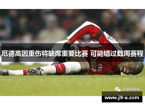 厄德高因重伤将缺席重要比赛 可能错过数周赛程